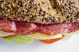 Salami and cheese sandwich