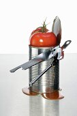 Frische Tomate auf geöffneter Konservendose