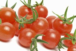 Cocktail tomatoes
