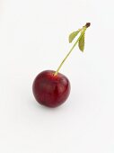 A cherry with stalk and leaf