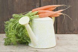 A watering can with carrots