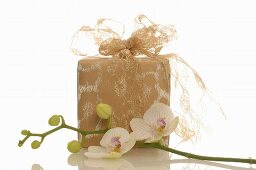 Gift and orchid