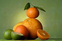 Citrus fruit still life