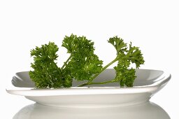 Curly parsley in white dish