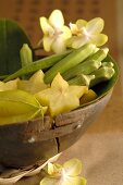 Carambolas, okra pods and orchids in wooden bowl