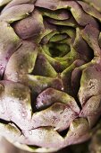Artichoke with drops of water (detail)
