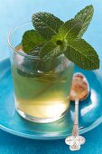 Glass of peppermint tea with fresh mint