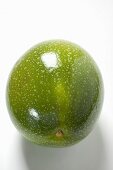 Giant granadilla (Passiflora quadrangularis)