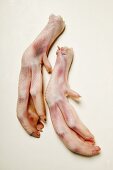 Raw chicken feet