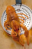 Cooked freshwater crayfish on slotted spoon