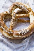 Two Bavarian salted pretzels