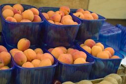 Aprikosen in Plastikschalen auf dem Markt