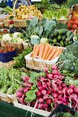 Market stall with various kinds of vegetables