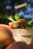 Frische Erdbeeren mit Blättern im Holzeimer