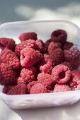 Frische Himbeeren in Plastikschale