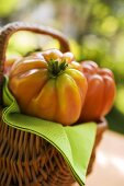 Fresh tomatoes in a basket