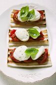 Three tomato and mozzarella toasts with basil