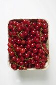 Redcurrants in cardboard punnet