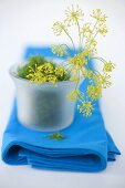 Dill and dill flowers in bowl on blue cloth