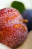 Red plum with leaf (close-up)