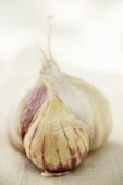 Garlic bulb