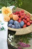 Plums, strawberries and apricots in wooden bowl