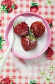 Drei Erdbeeren in einem Schälchen Zucker