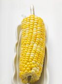 Corn on the cob in white dish