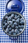 Fresh blueberries in blue pan (overhead view)