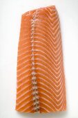 Salmon fillet (overhead view)