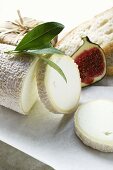 Cheese still life with bread and half a fig