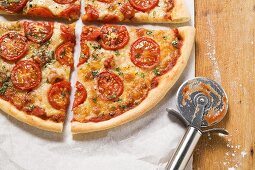 Cheese and tomato pizza with oregano (quartered)