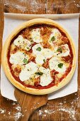 Mozzarella pizza on server