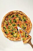 American-style vegetable pizza with piece on server