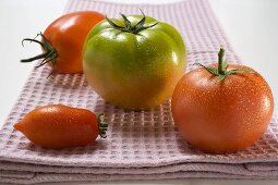Four different tomatoes on tea towel