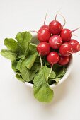 A bunch of radishes in a white dish (overhead view)