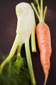 Fresh carrot and Florence fennel bulb