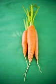 Fresh carrots on green background