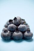 Blueberries on blue background