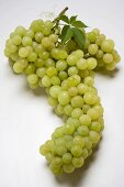 Green grapes with leaf