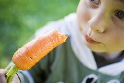 Small child eating a carrot