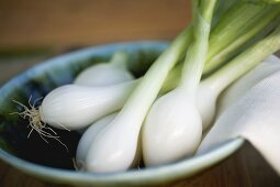 Several spring onions in bowl