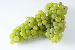 Green grapes, variety Weisser Gutedel