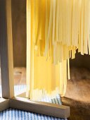 Home-made ribbon pasta hanging up to dry