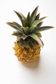 Ananas (Draufsicht)