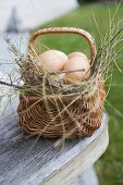 Brown eggs in a basket with hay