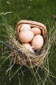 Brown eggs in a basket with hay on grass