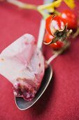 Tea bag on spoon, fresh rose hips