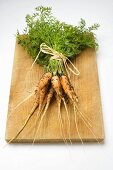 A bunch of young carrots with soil on chopping board