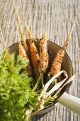 Young carrots in strainer on wooden background